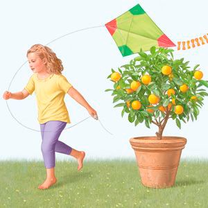 LÍNEA EL JARDÍN DE LOS PEQUEÑOS