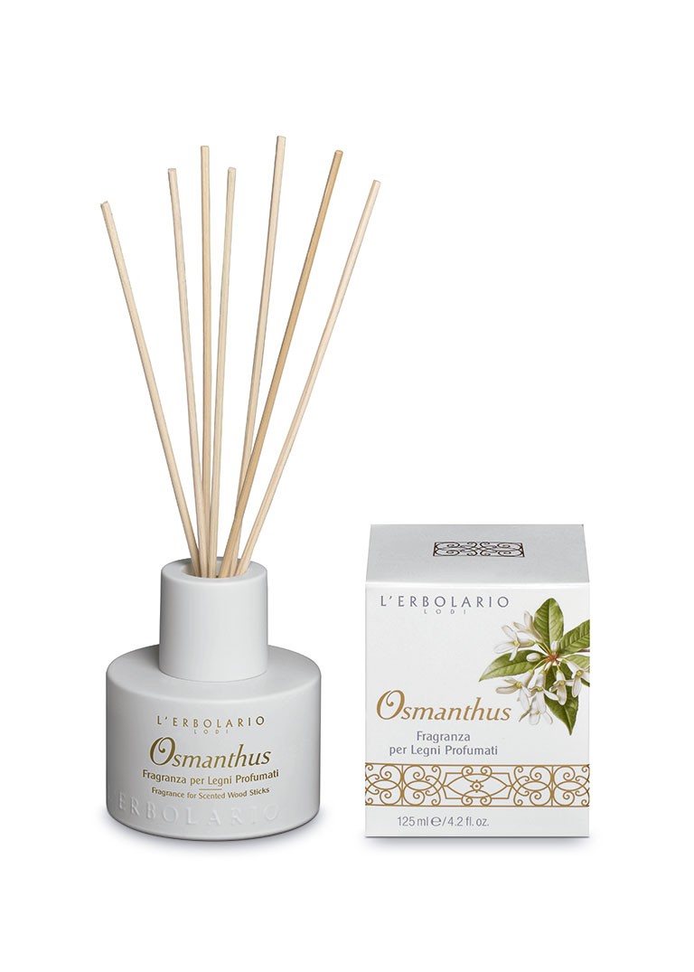 OSMANTHUS FRAGANCIA MIKADOS OSMANTHUS FRAGANCIA MIKADOS