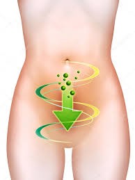Bienestar gastrointestinal