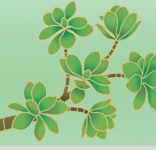 ÁRBOL DE JADE