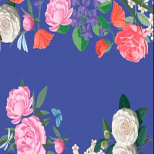 DANZA DE FLORES