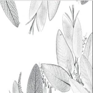 BOUQUET DE PLATA