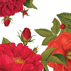 ROSA PURPÚREA