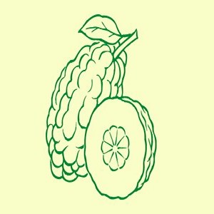 CEDRO