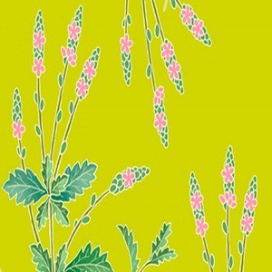 VERBENA