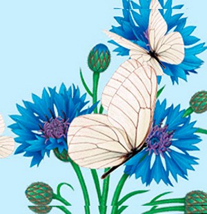 FIORDALISO