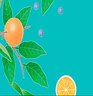 GIN BOTANICALS